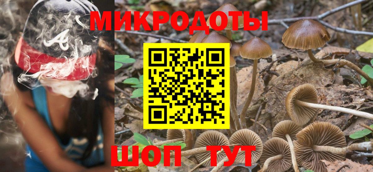 Соль-Илецк  Псилоцибиновые грибы прущие грибы  Галлюциногенные грибы мицелий  даркнет сайт  Вход с VPN 