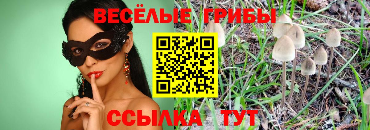 Конопля Соль-Илецк